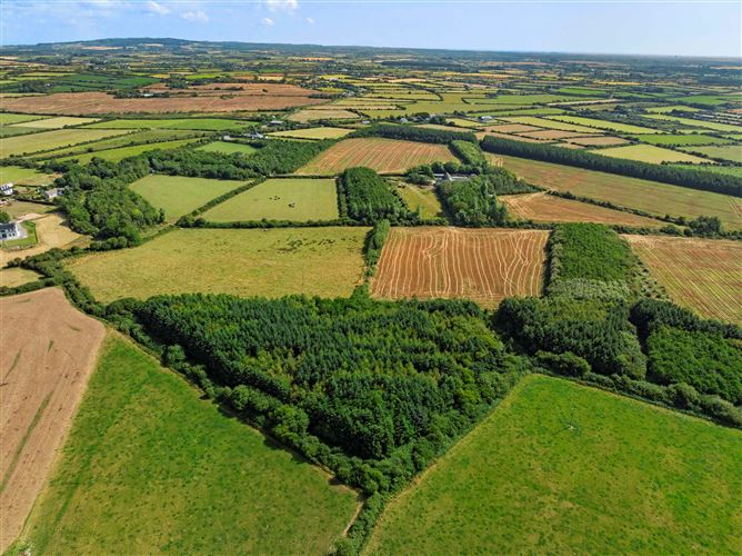 c. 8.78 Hectares (21.70 Acres) at Nicharee, Duncormick, Wexford