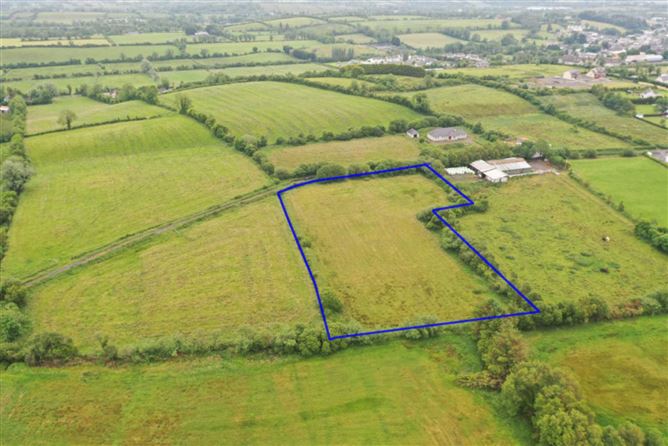 C. 2.42 Acres At, Convent Lane, Cappagh, Mohill, County Leitrim