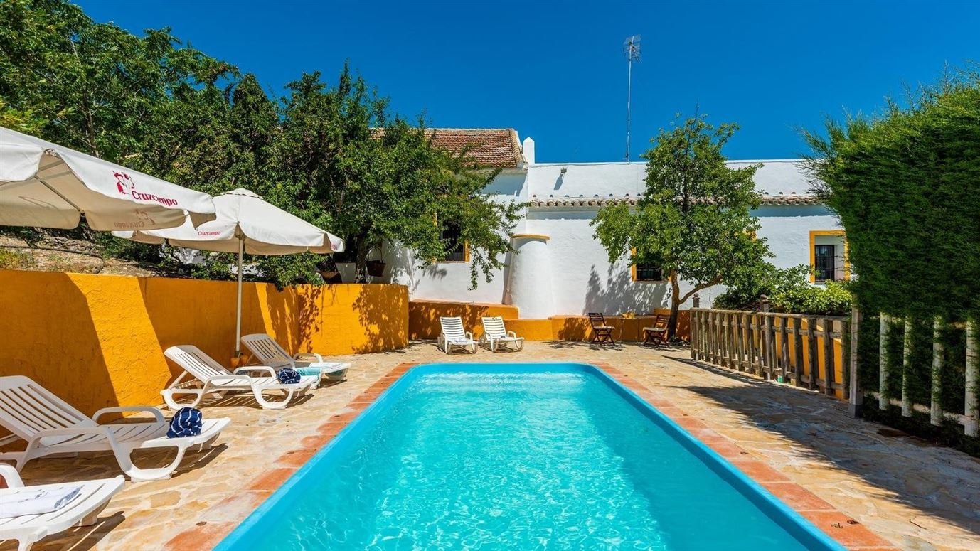 Freshly Squeezed Orange Juice,Osuna, Andalusia, Spain
