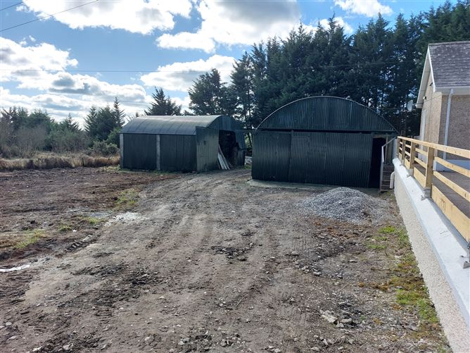 Paddock, Mountrath, Laois