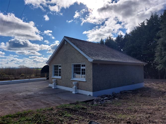 Paddock, Mountrath, Laois