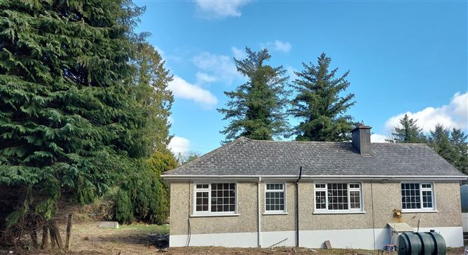Paddock, Mountrath, Laois