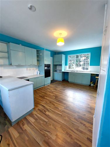 Paddock, Mountrath, Laois