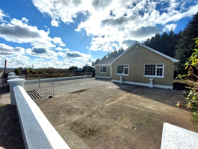 Paddock, Mountrath, Laois