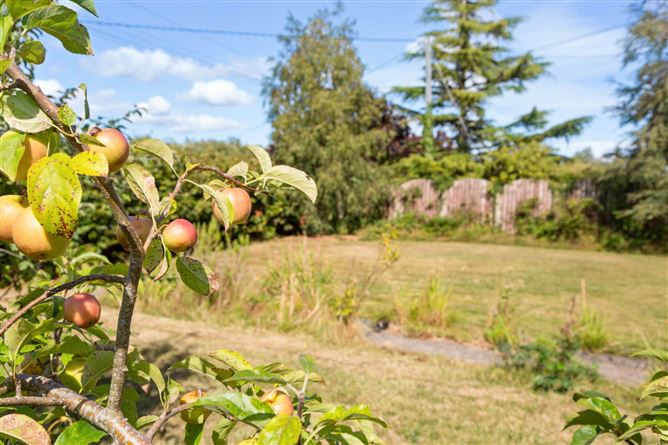 Photo 21 of 23 — Brackernagh, Ballycanew, Gorey, County Wexford