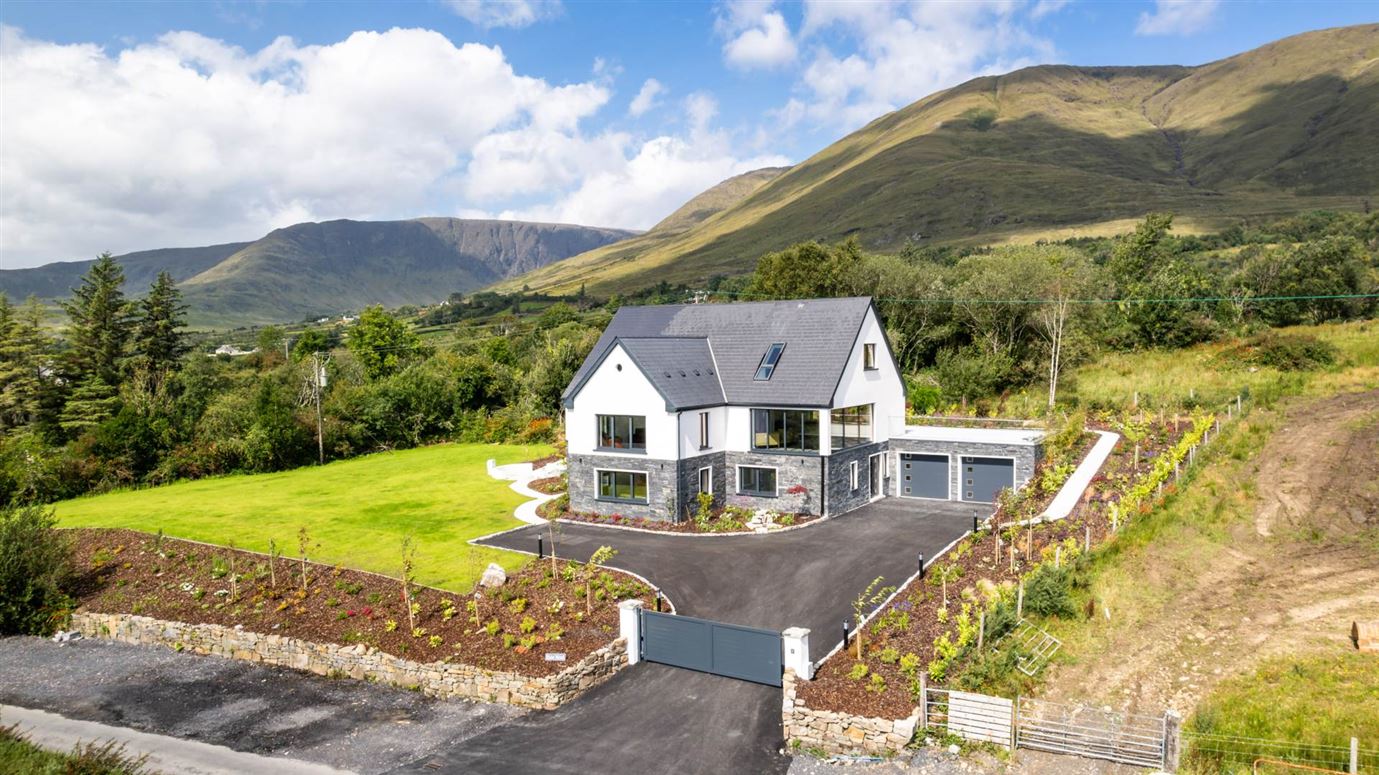 Rose Wood, Derry, Toormakeady, County Mayo