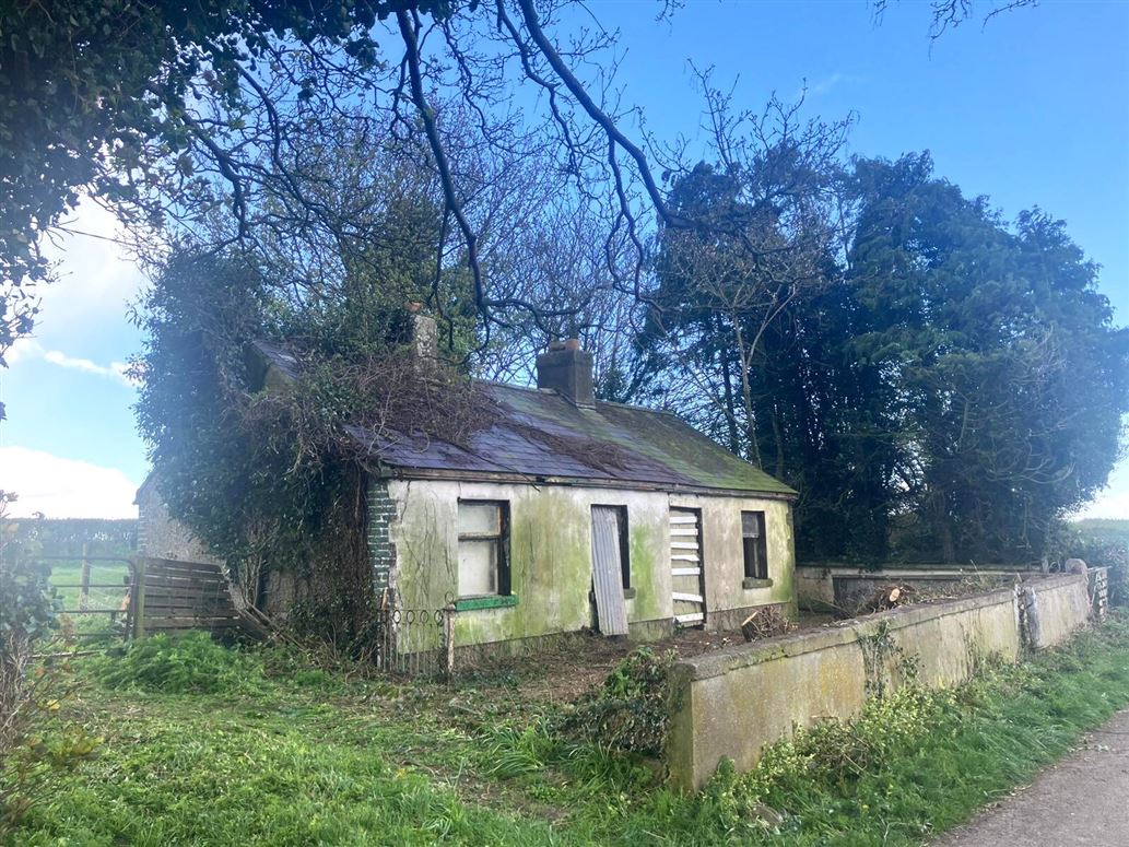 Tankardstown Site, Ballylylnan, Co. Laois