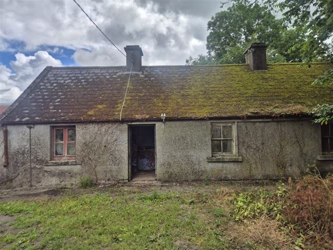 Derelict Cottage, Knocklow, Tullow, Co. Carlow