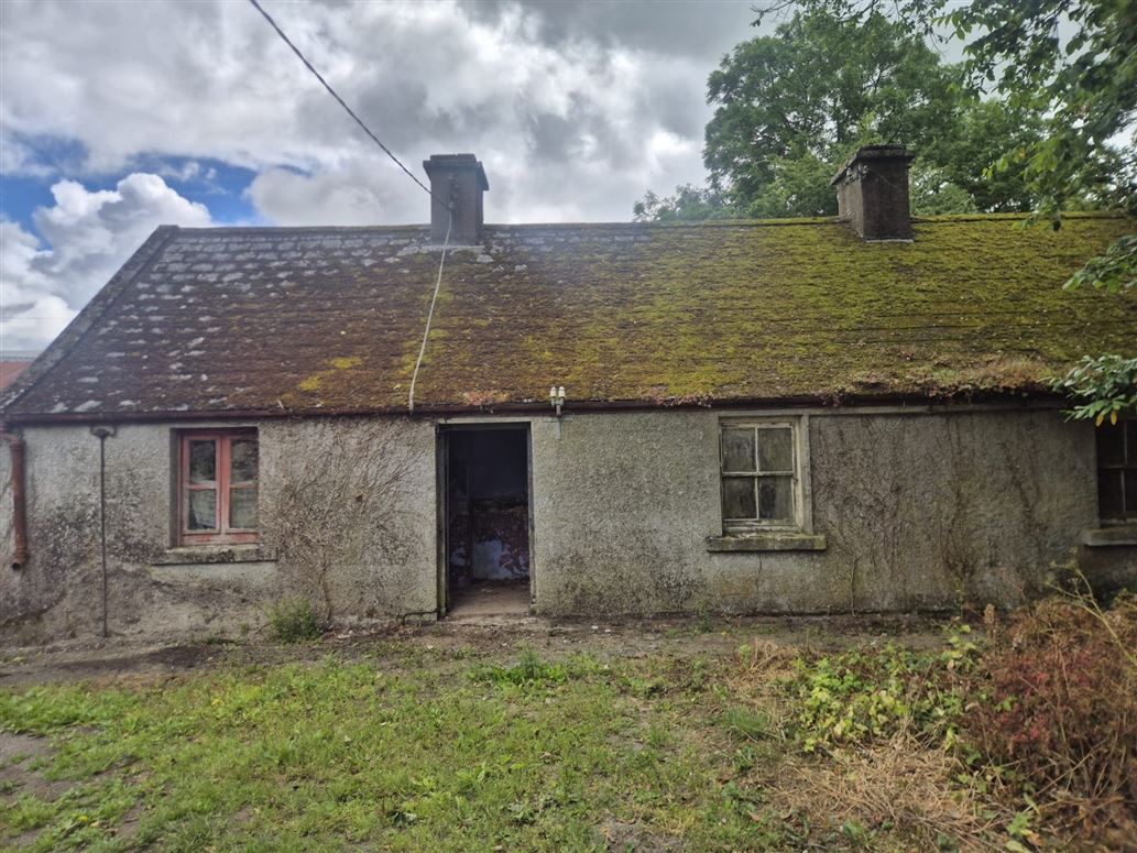 Derelict Cottage, Knocklow, Tullow, Co. Carlow