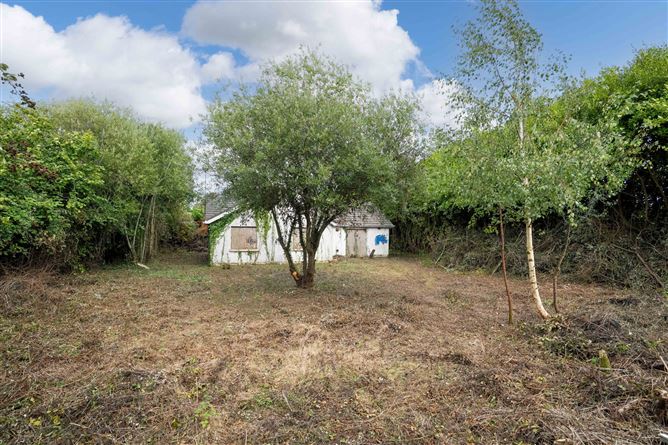 Site - 1A Ballinalea, Ashford, Wicklow