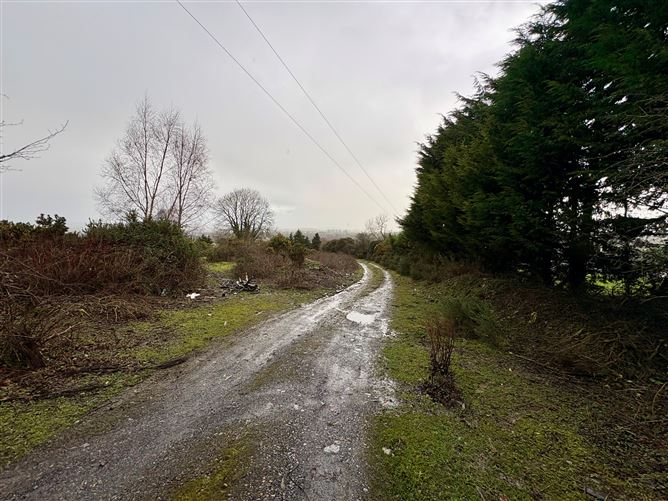 Site @ Blackdown, Kilteel, Kildare