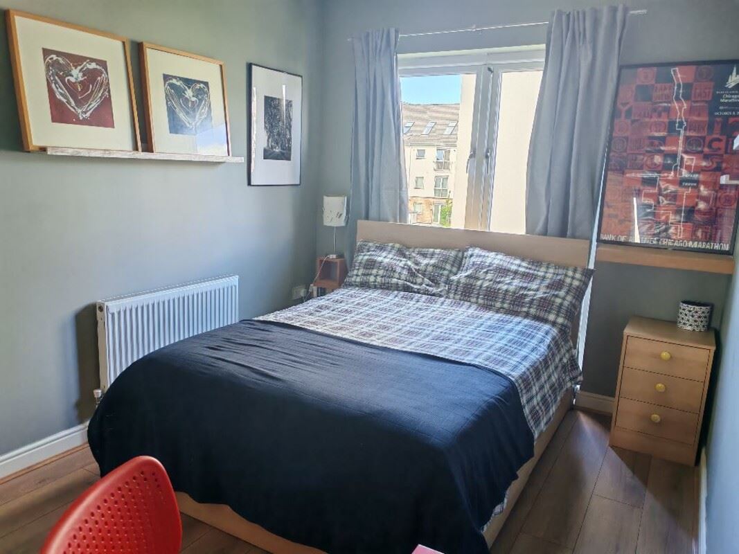 Double room for single use, Dublin