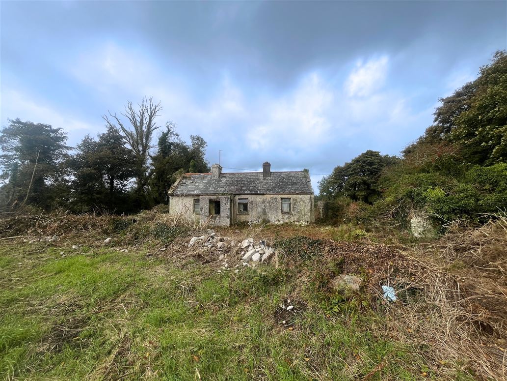 Derrykinlough, Kiltimagh, Mayo