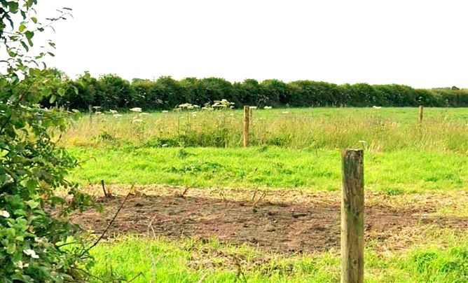 Lands Cloonagh Beg, Clonaslee, Co. Laois