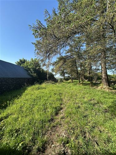 Photo 15 of 17 — Ardrush, Ennistymon, County Clare