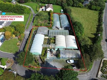 Ballyvourney Nursery & Garden Centre, Ballymakeera, Macroom, Cork