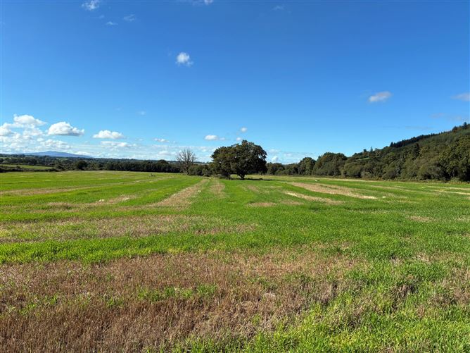 Killurney, Clonmel, Tipperary