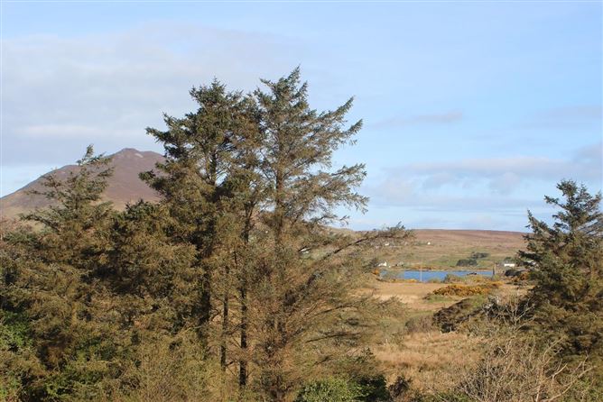 Creggans, Letterfrack, Galway