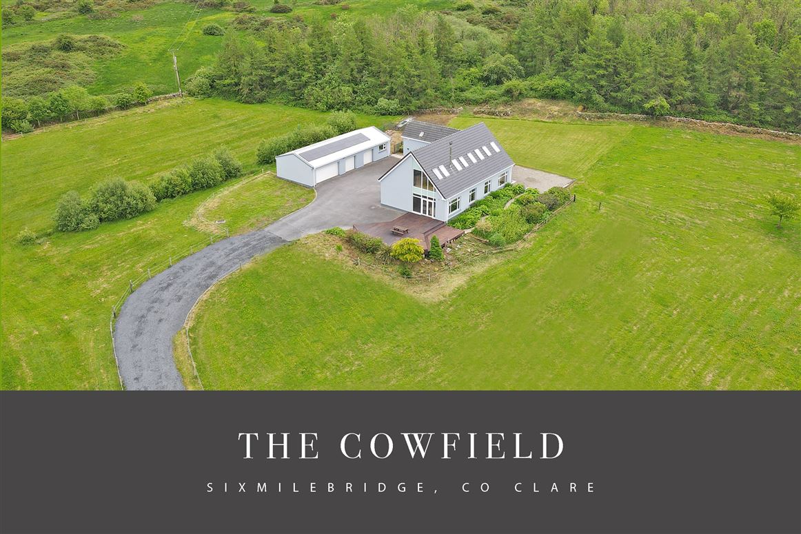 The Cowfield, Cappanalaght, Sixmilebridge, Clare