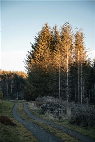 Fireside Whisky,Longmorn, Moray, Scotland