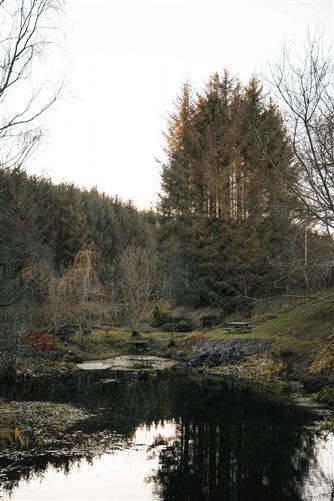 Fireside Whisky,Longmorn, Moray, Scotland