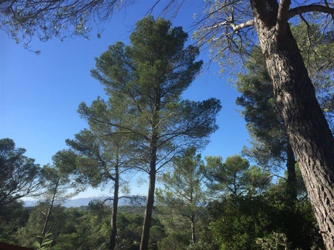 Private, Pin de la Lègue, Cote d-Azur, Var