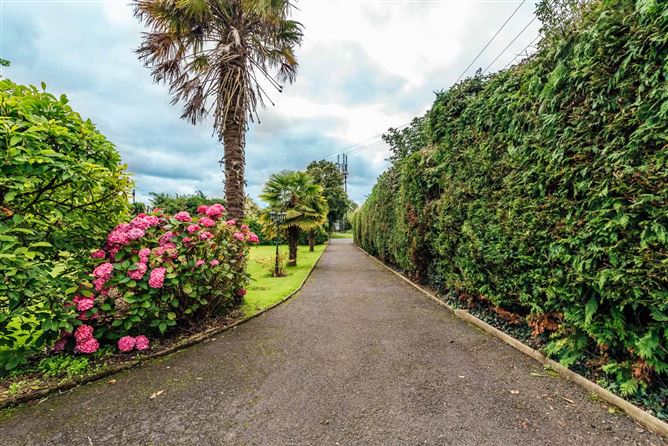 Woodlawn, Cherryville, Kildare, Kildare Town, Kildare