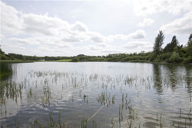 Lands At Loughcrew, Oldcastle, Co. Meath