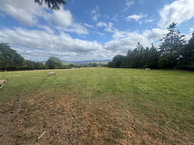 Land C. 6.75 Acres / 2.73 Hectares, Blessington, Wicklow