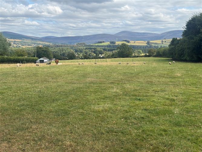 Land C. 6.75 Acres / 2.73 Hectares, Blessington, Wicklow