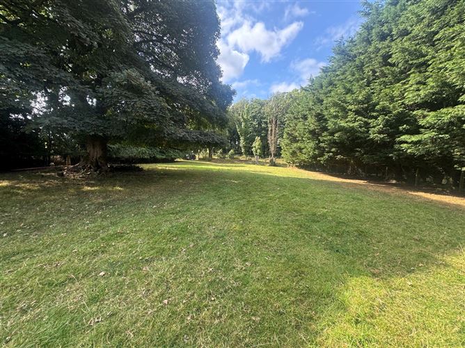 Photo 6 of 6 — Land C. 6.75 Acres / 2.73 Hectares, Blessington, Wicklow