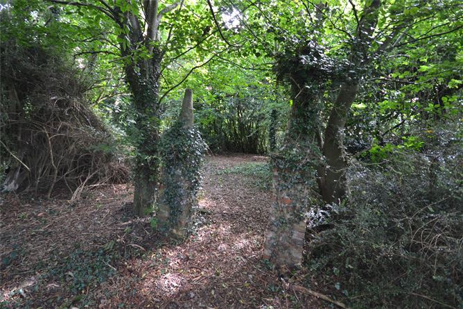Ballyorril, Marshalstown, Enniscorthy, Co. Wexford