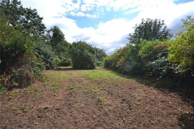 Ballyorril, Marshalstown, Enniscorthy, Co. Wexford