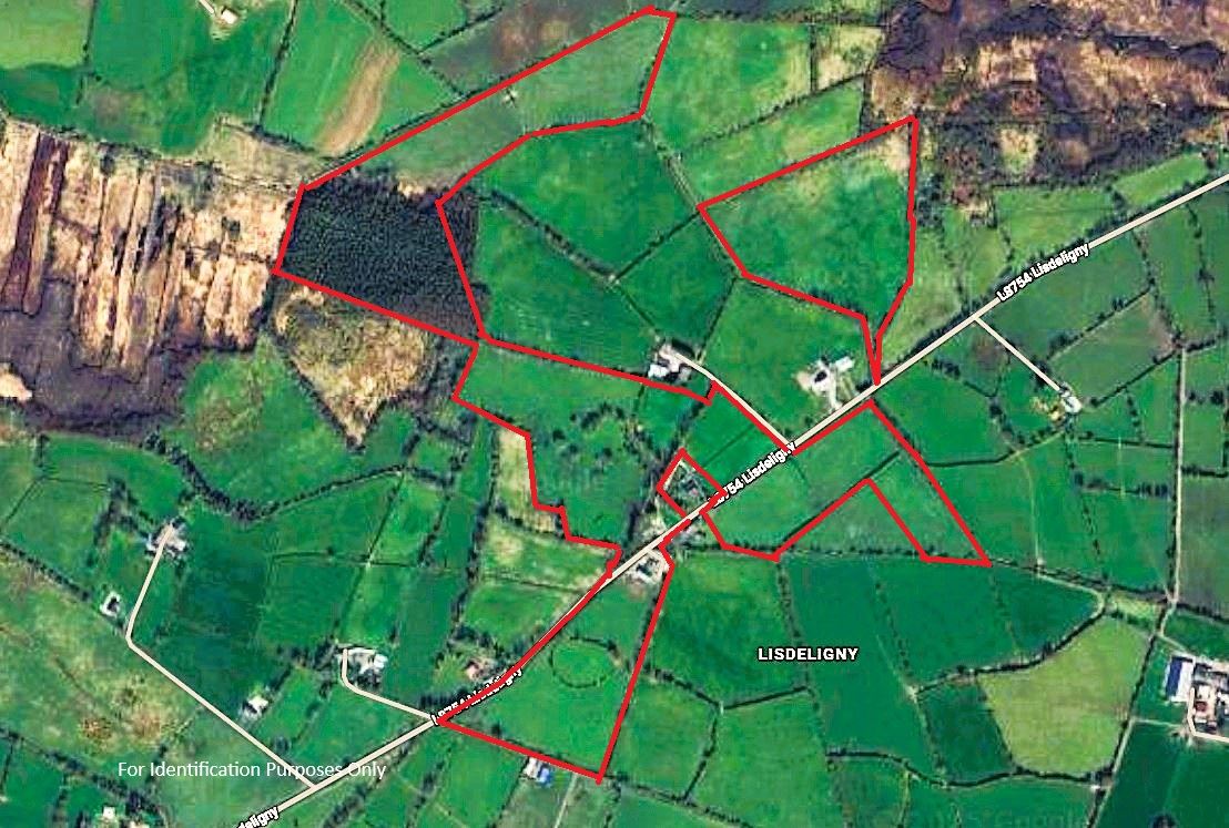 Lands Lisdeligny, Killimor, Ballinsloe, Co. Galway