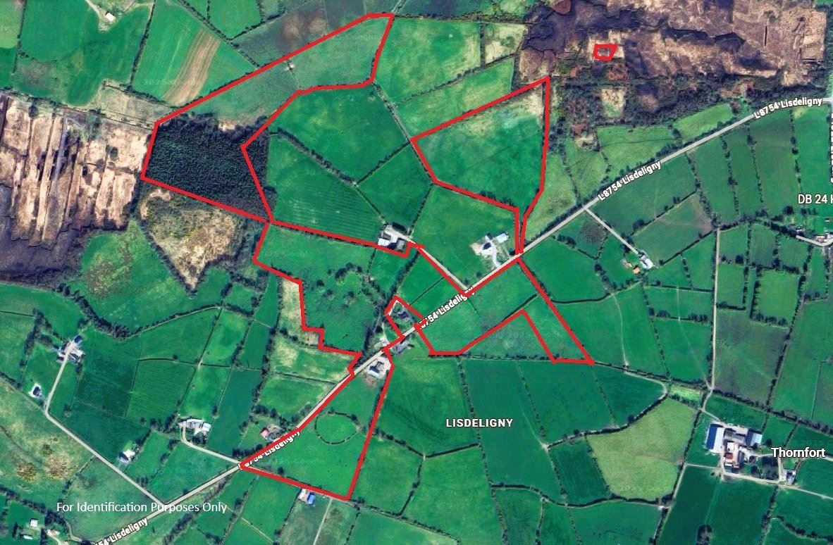 Lands Lisdeligny, Killimor, Ballinsloe, Co. Galway