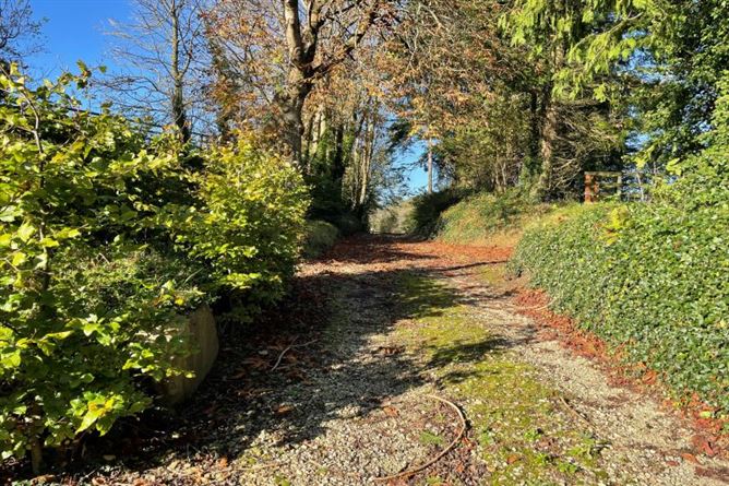 'Hazeldene Farm', c.10.85 acres at Garryvadden,, Blackwater, Wexford