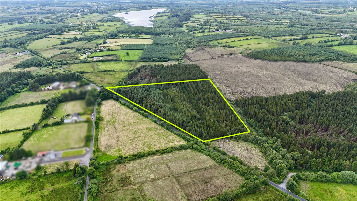 c.8.58 acres of mature forestry at Ballyglass East, Loughglynn, Co. Roscommon