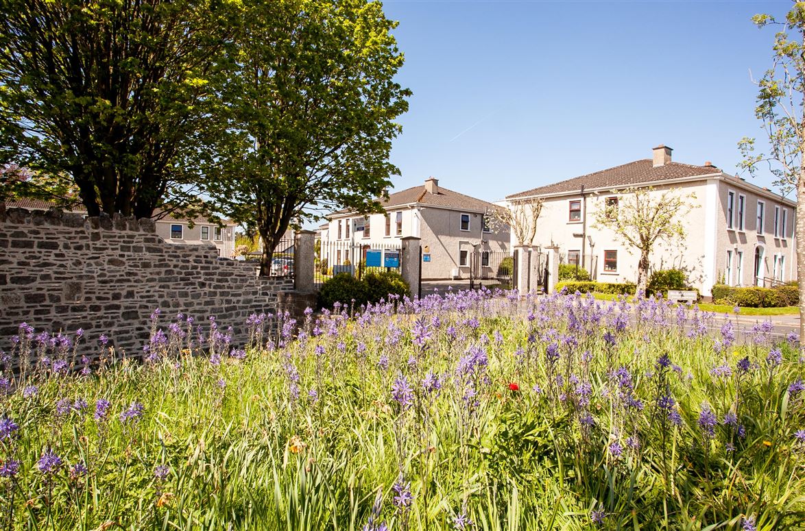 8 Manor Court, Maynooth, Co. Kildare, Maynooth, Kildare