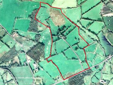 Image for Lands & Farmhouse Aghnahola, Drumbure, , Scotstown, Monaghan