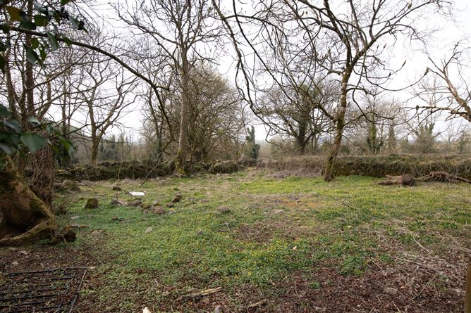 Saddle Hill Farmhouse, Blessington, Thomastown, Co. Kilkenny