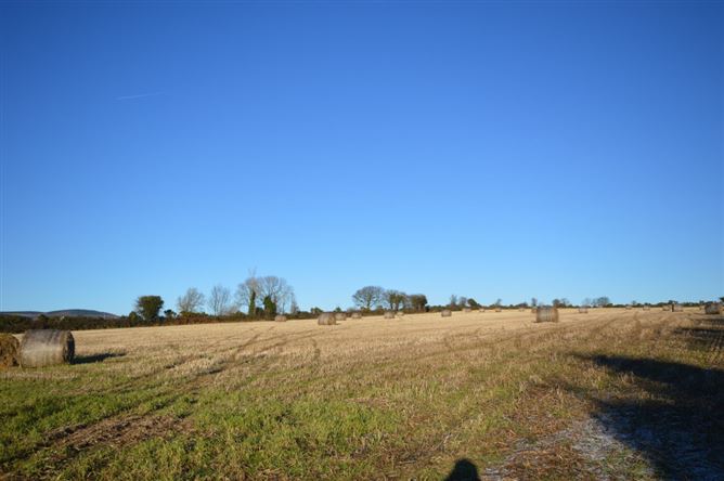 Cromogue, Bunclody, Wexford