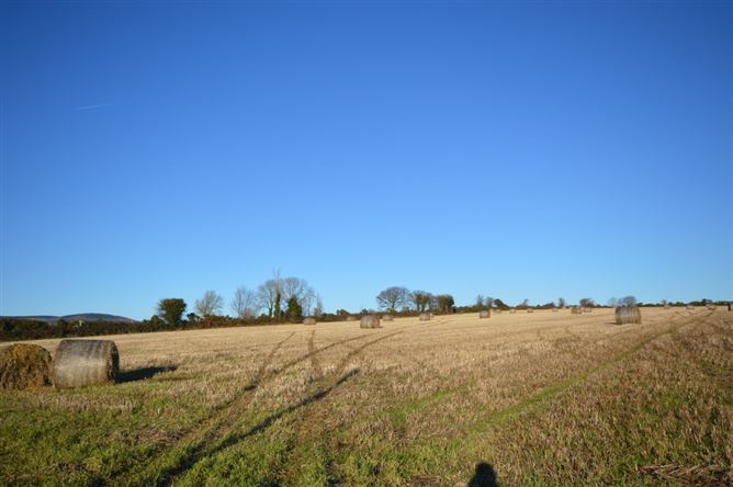 Cromogue, Bunclody, Wexford