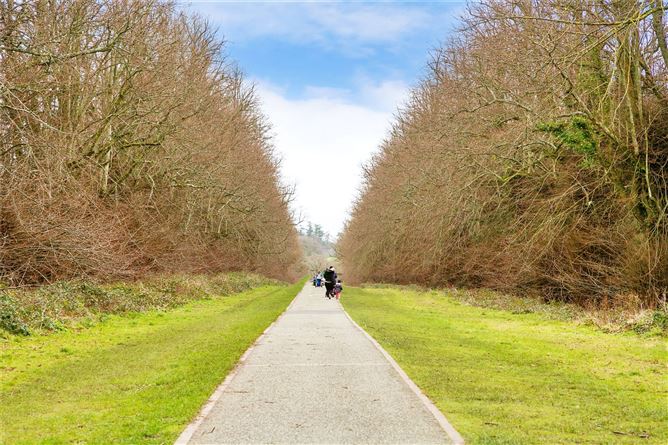 45 Charter House, Maynooth, Co. Kildare