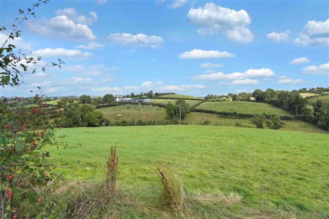 Lot 4 - Crowley, Shercock, Co. Cavan, Shercock, Cavan