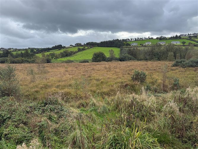 9.58 Acres Agricultural Land, Mastergeeha, Kilcummin, Killarney, Co. Kerry