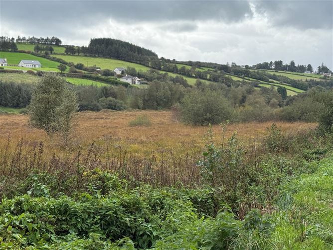 9.58 Acres Agricultural Land, Mastergeeha, Kilcummin, Killarney, Co. Kerry