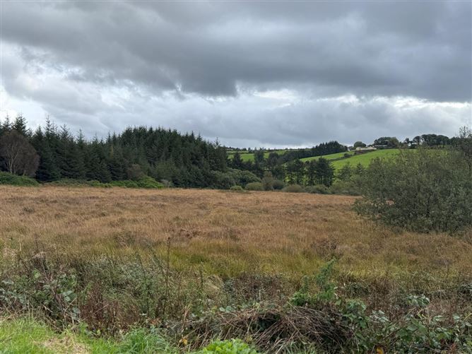 Photo 3 of 10 — 9.58 Acres Agricultural Land, Mastergeeha, Kilcummin, Killarney, Co. Kerry