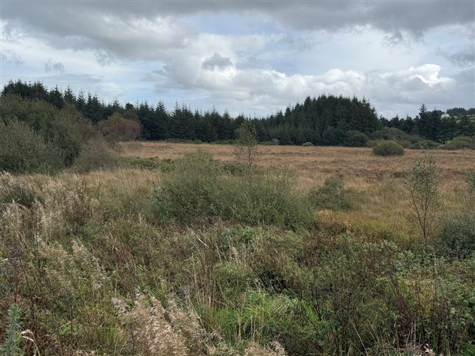 Photo 2 of 10 — 9.58 Acres Agricultural Land, Mastergeeha, Kilcummin, Killarney, Co. Kerry