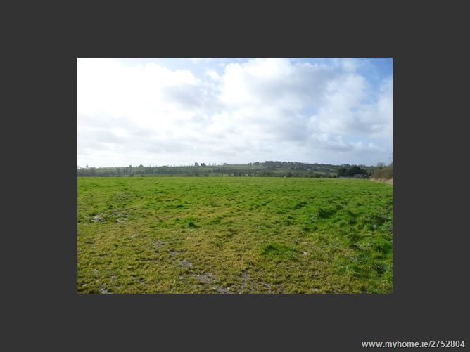 Newtown, Enfield, Meath