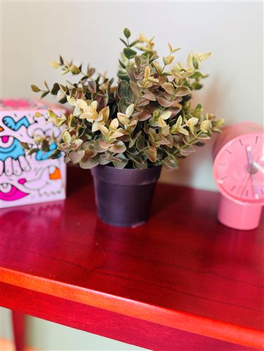 Georgias Gate,Vacation Rental in Laois, Ireland